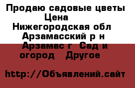 Продаю садовые цветы › Цена ­ 30 - Нижегородская обл., Арзамасский р-н, Арзамас г. Сад и огород » Другое   